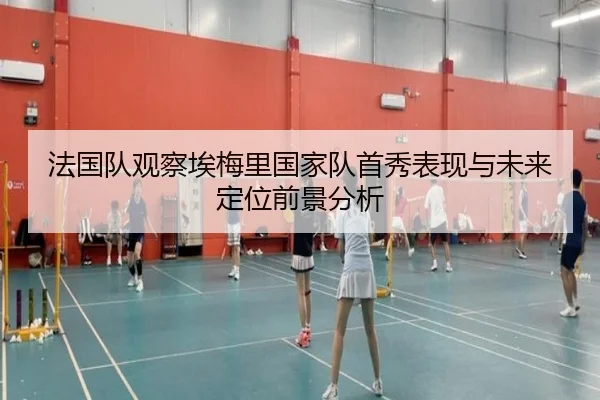 法国队观察埃梅里国家队首秀表现与未来定位前景分析